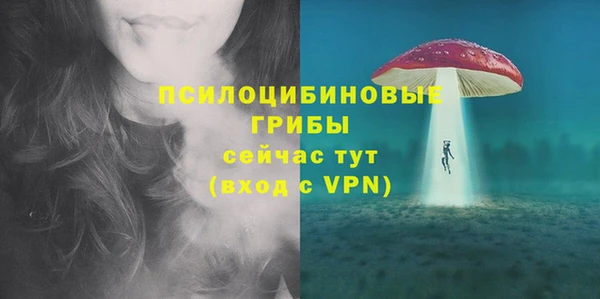 СК Аркадак