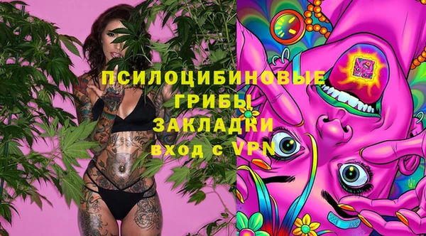 СК Аркадак