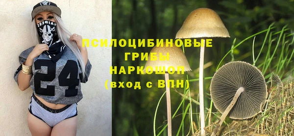 стаф Армянск