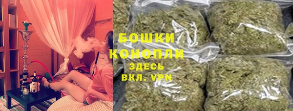 СК Аркадак